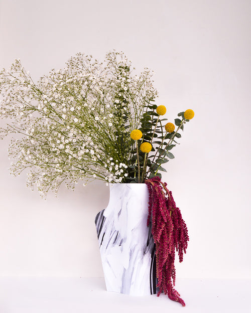 Amaranthus, en florero Black & White by abrelapuerta ® Abre La Puerta