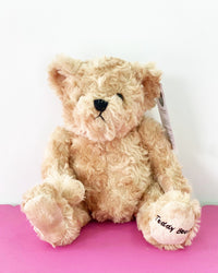 Peluche Oso Abre La Puerta
