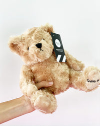 Peluche Oso Abre La Puerta