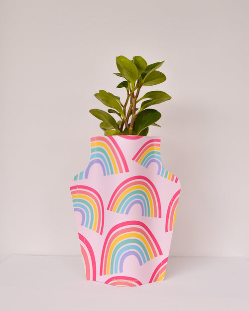 Planta Peperomia, en florero Rainbows by abrelapuerta ® Abre La Puerta